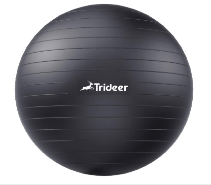 Swiss Ball Peachtree City Physical Therapy - The Mobile Athlete